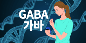 GABA 효능 가바